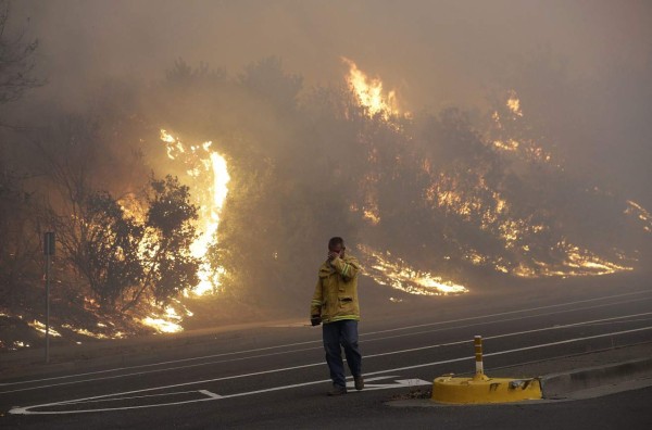 Fotos: Las impactantes imágenes que dejó en incendio en zona vinícola de California, EEUU