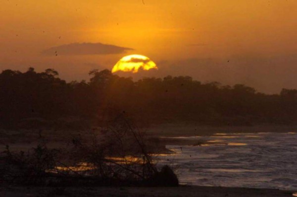 FOTOS: Lectores de EL HERALDO celebran Día Mundial de la Tierra