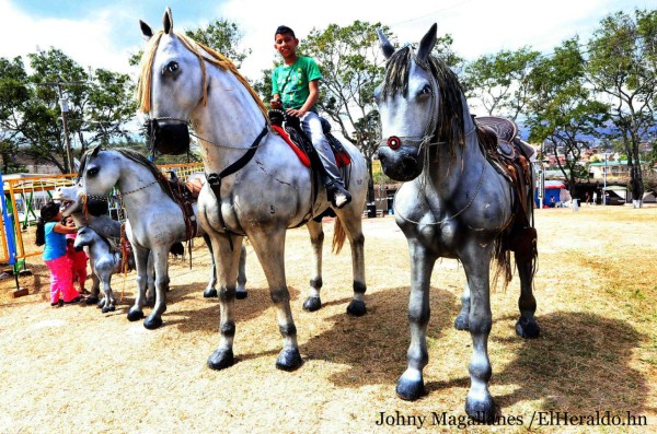 Lo mejor de la feria de AGAFAM 2017 en imágenes