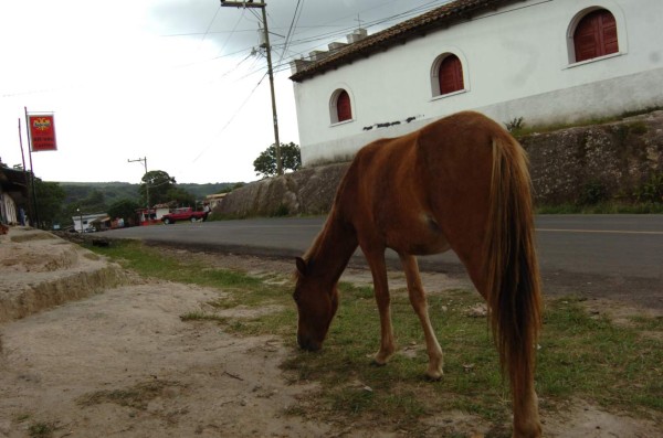 Lugares turístico cerca de Tegucigalpa que puedes visitar en la Semana Morazánica