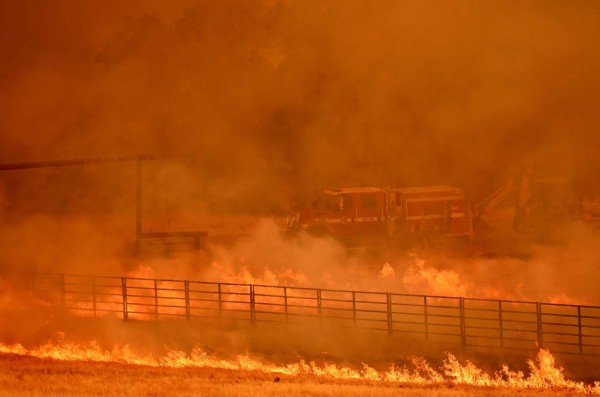 Las impactantes imágenes del voraz incendio forestal en California