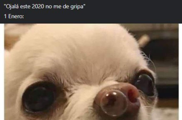 ¡A REÍR! Los mejores memes que dejó el inicio de este Año Nuevo 2020