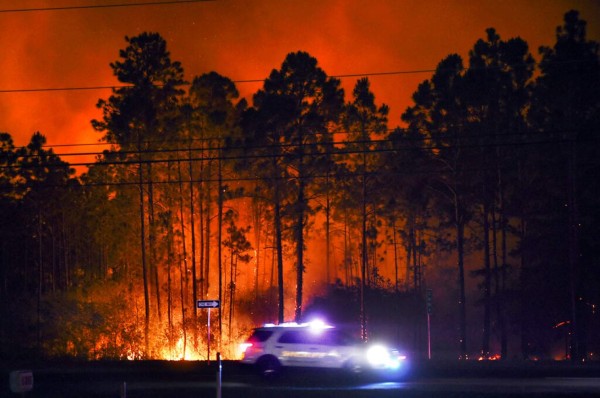 Enfermedades, incendios y muerte de personalidades: el catastrófico 2020 en imágenes