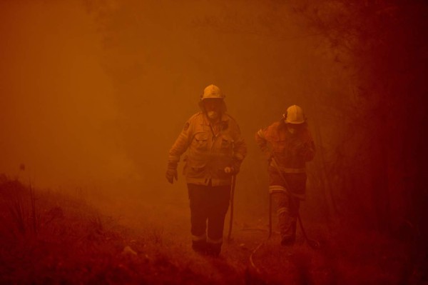 Bomberos desesperados, mientras los animales huyen: el drama de los incendios en Australia