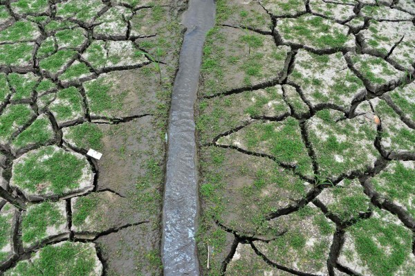 Honduras: Las tristes imágenes de la represa Los Laureles que luce casi desierta