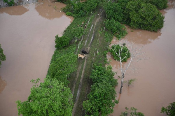 El sorprendente rescate aéreo de familias hondureñas atrapadas por Iota (FOTOS)