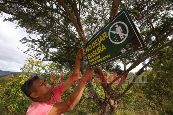 10 datos que debe conocer de la Montaña Triquilapa, el tesoro verde de la capital  