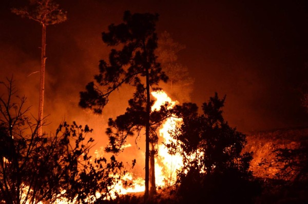 Impactantes imágenes del incendio forestal que arrasó varias hectáreas en El Hatillo