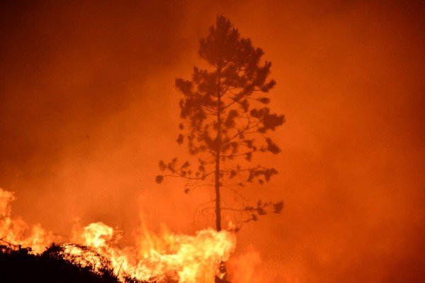 Impactantes imágenes del incendio forestal que arrasó varias hectáreas en El Hatillo