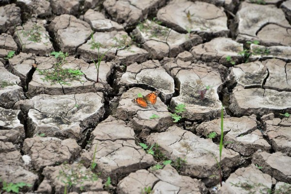 Honduras: Las tristes imágenes de la represa Los Laureles que luce casi desierta