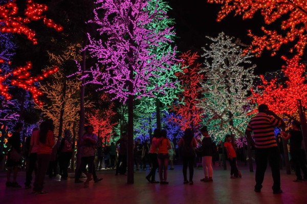 FOTOS: Así se vive Navidad alrededor del mundo