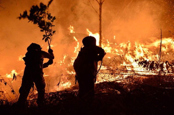 Impactantes imágenes del incendio forestal que arrasó varias hectáreas en El Hatillo