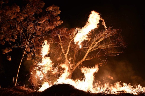 Impactantes imágenes del incendio forestal que arrasó varias hectáreas en El Hatillo