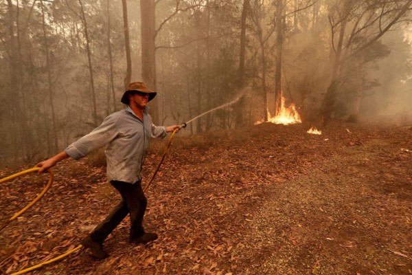 Bomberos desesperados, mientras los animales huyen: el drama de los incendios en Australia