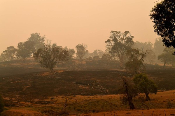 Cielo rojizo y un ambiente desierto: las fotos del caos que dejan los incendios en Australia