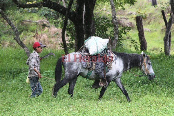 FOTOS: Completamente olvidadas viven las familias en Dolores-Mesetas