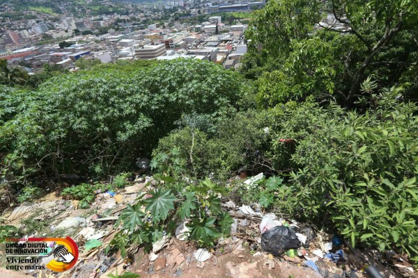 La huella de la Mara Salvatrucha en la capital de Honduras