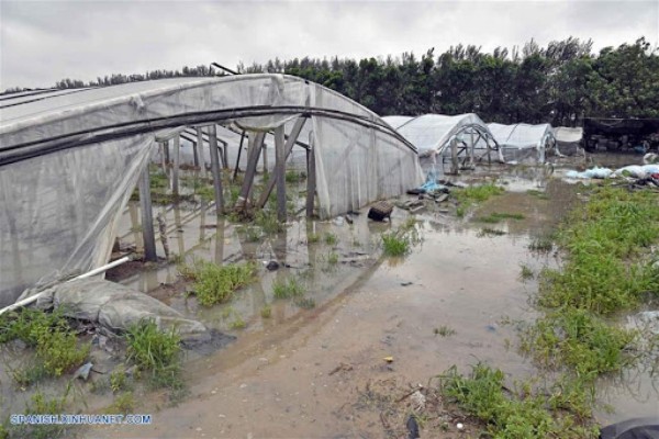 Muerte y destrucción: impactantes fotos de las inundaciones en China