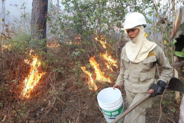 Bomberos combaten nuevo incendio en la parte baja de El Hatillo, salida a Olancho