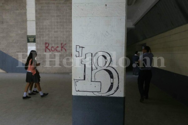 Rodeados de placazos de la 18 estudiantes del Instituto Central Vicente Cáceres reciben clases