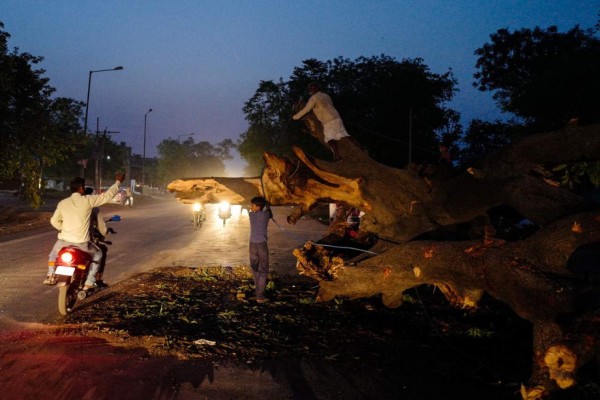 Tormenta de arena en la India: Las fotos más impactantes de la destrucción