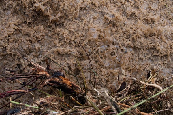 FOTOS: Sube a 12 cifra de muertos por tormenta Gloria en España; hay desaparecidos