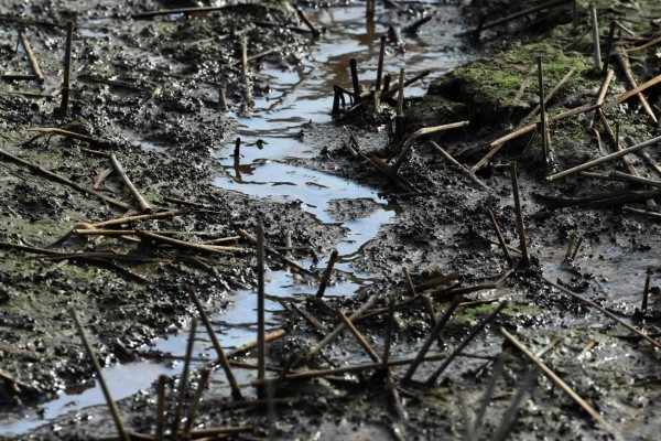 Las fotos más impactantes de la prolongada sequía en Honduras