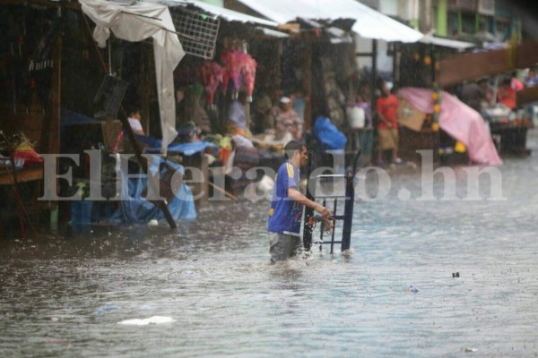 Fotos: Fuertes lluvias azotaron calles y avenidas de la capital de Honduras