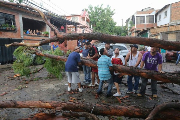 Fotos: Fuertes lluvias azotaron calles y avenidas de la capital de Honduras