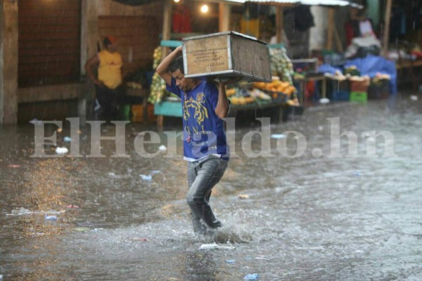 Fotos: Fuertes lluvias azotaron calles y avenidas de la capital de Honduras