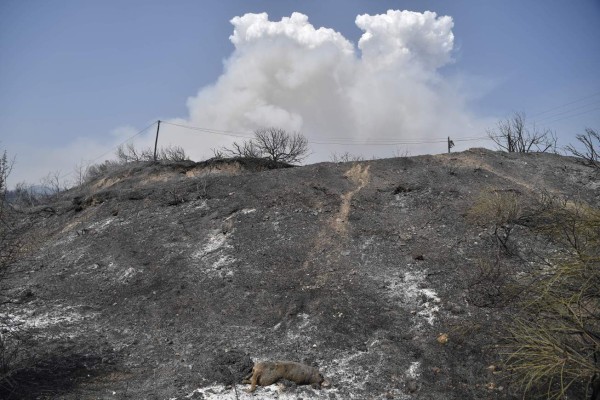 Así avanzan los incendios descomunales que devoran pueblos en Grecia