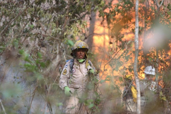 Bomberos combaten nuevo incendio en la parte baja de El Hatillo, salida a Olancho