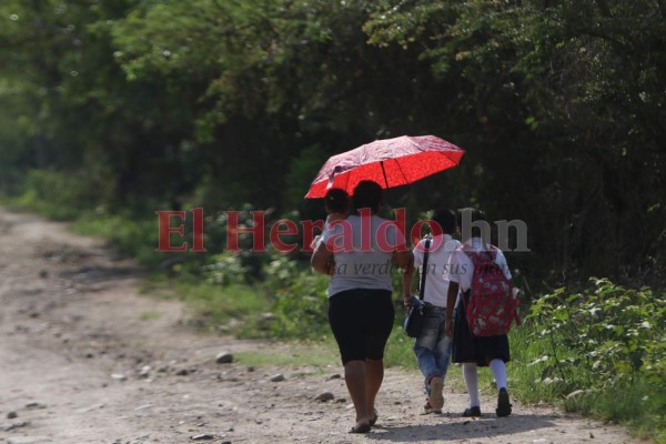 Sin internet ni aparatos tecnológicos: niños hondureños hundidos en la ignorancia