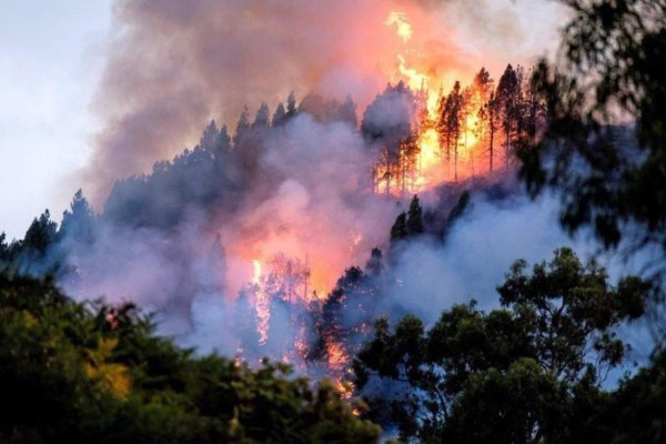 Así luce la Amazonia, el pulmón del mundo devorado por un incendio