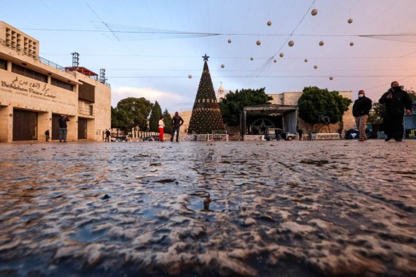 Árboles de Navidad más bellos del mundo: ¡Honduras en la lista!