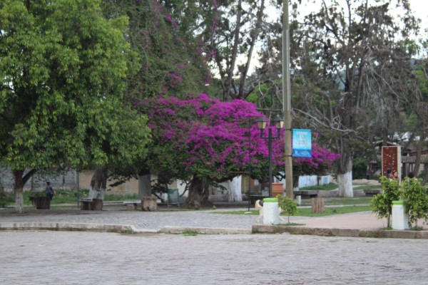 Recorriendo las hermosas calles de Ojojona en imágenes