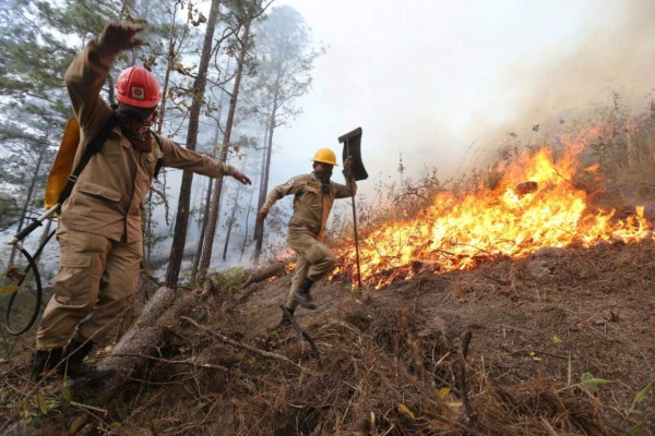 Bomberos combaten nuevo incendio en la parte baja de El Hatillo, salida a Olancho