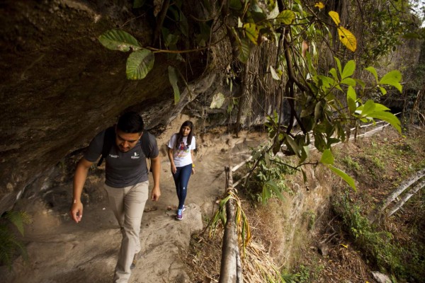 Conozca la hermosa tierra con olor a café