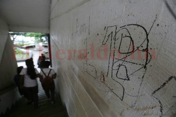 Rodeados de placazos de la 18 estudiantes del Instituto Central Vicente Cáceres reciben clases