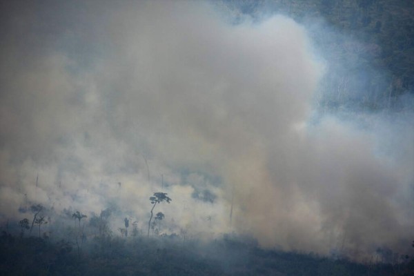 Las impactantes fotos de los desastres que deja el incendio en Amazonia