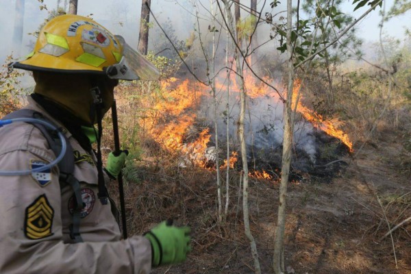 Bomberos combaten nuevo incendio en la parte baja de El Hatillo, salida a Olancho