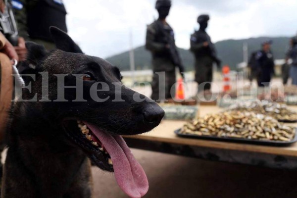 FOTOS: Potente arsenal de guerra hallan en los módulos de Támara