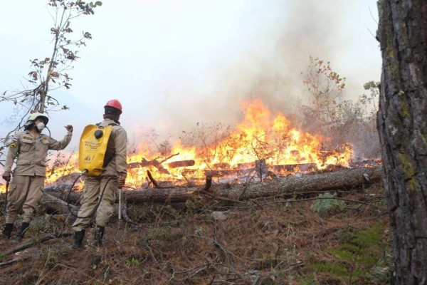 Bomberos combaten nuevo incendio en la parte baja de El Hatillo, salida a Olancho