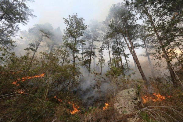 Bomberos combaten nuevo incendio en la parte baja de El Hatillo, salida a Olancho