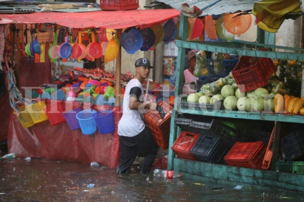 Fotos: Fuertes lluvias azotaron calles y avenidas de la capital de Honduras