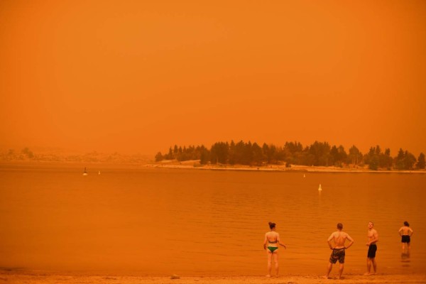 Bomberos desesperados, mientras los animales huyen: el drama de los incendios en Australia