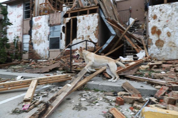 FOTOS: Harvey deja a Houston bajo agua, pero lo peor está aún por venir