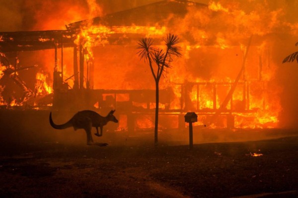 Las 20 fotos que demuestran que el 2020 ha sido un año caótico  