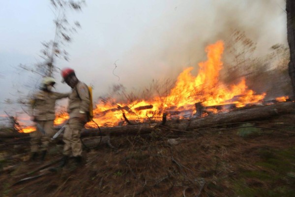 Bomberos combaten nuevo incendio en la parte baja de El Hatillo, salida a Olancho