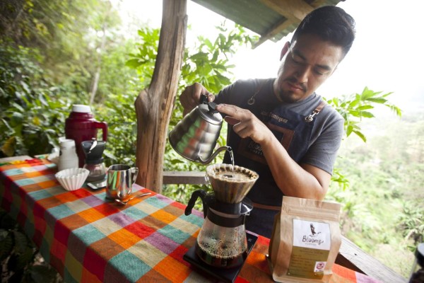 Conozca la hermosa tierra con olor a café